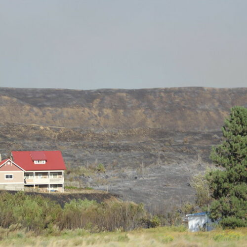 A white two-story house with a red roof is surrounded by black ground. There is a green pine tree to othe right of the photo. The sky appears to be a hazy blue-gray color.