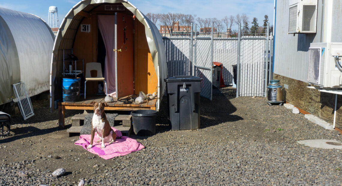 A dog sits in front of a horseshoe-shaped shelter