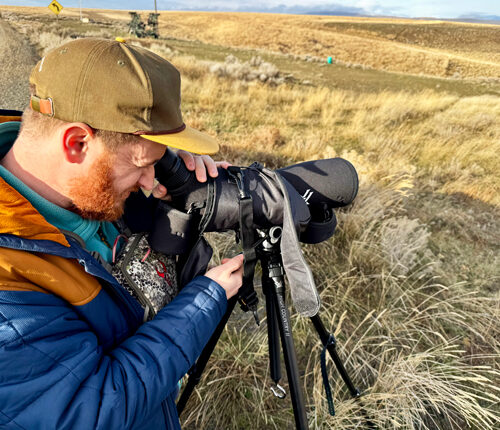 A man in an orange and blue jacket with a tan baseball hat looks through a black spotting scope that's on a black tripod. There are bunch grasses in the background on the hills.