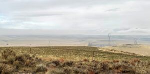 In the foreground of the image there are brown grasses. The background of the image is foggy, which makes it kind of blurry. The landscape continues into the fog. The sky is grey and cloudy.